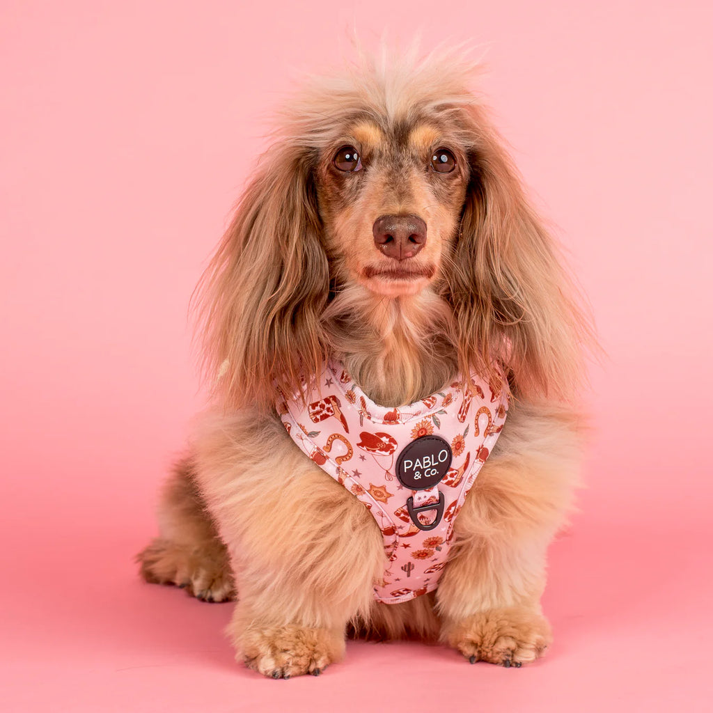 Howdy Dog Harness