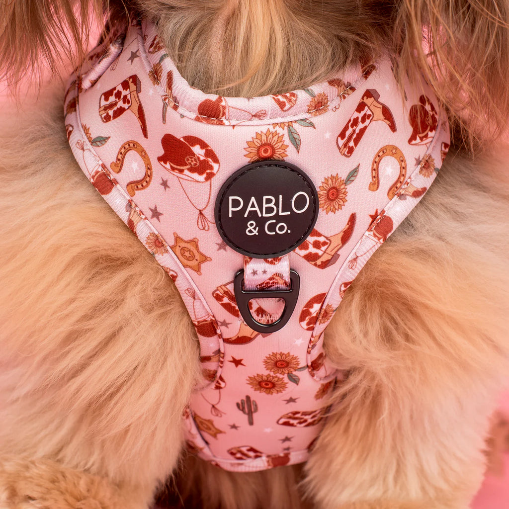 Howdy Dog Harness