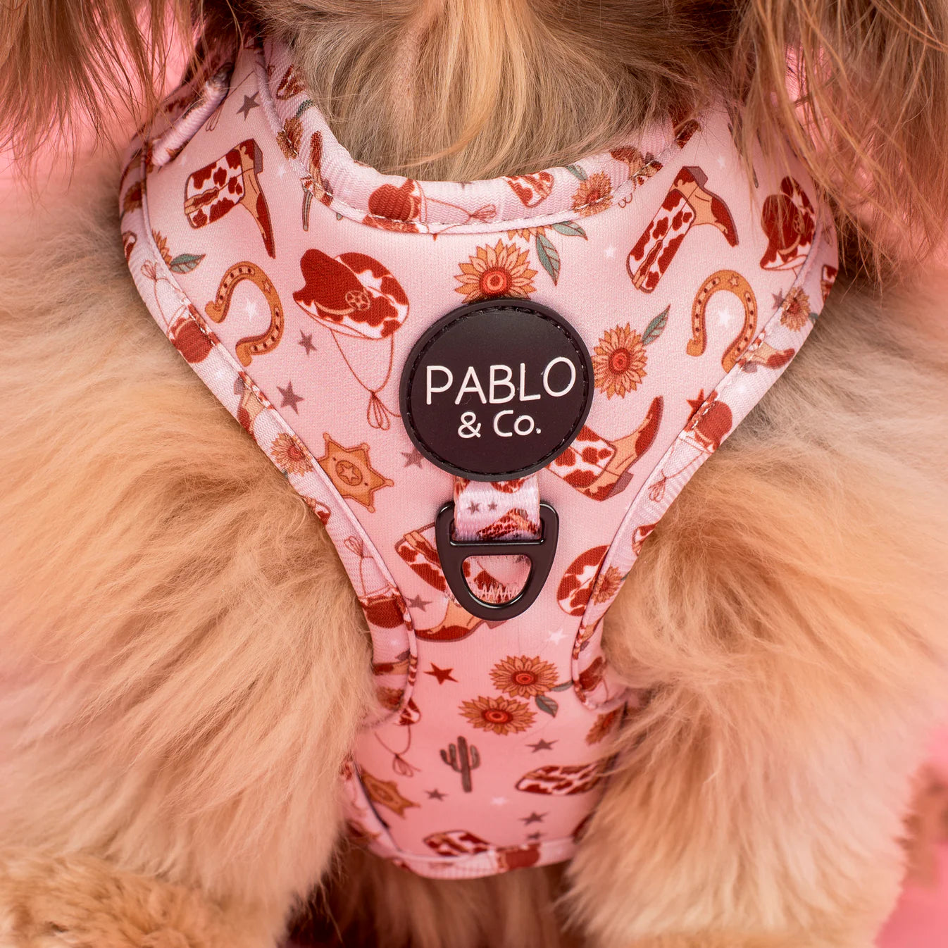 Howdy Dog Harness