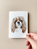 Cheddar the King Charles Cavalier Card