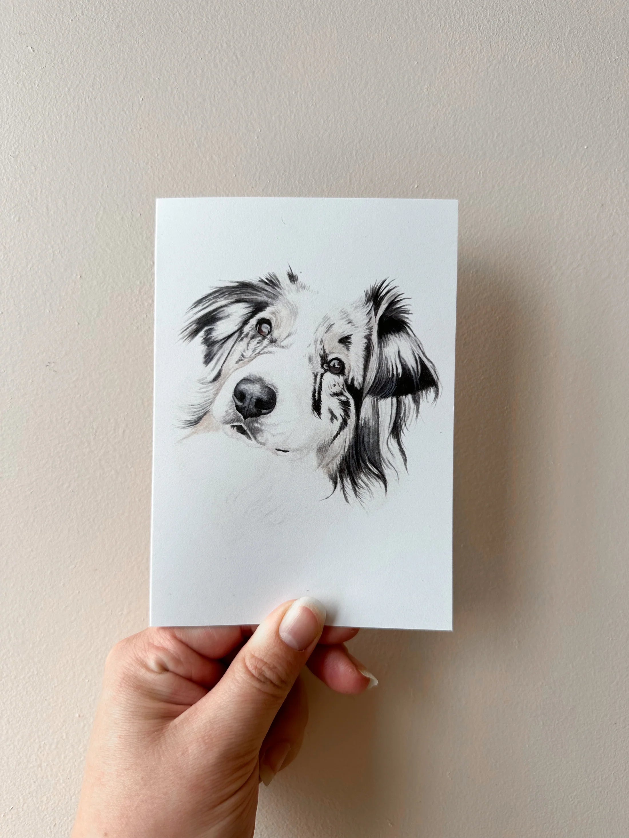 Fira the Aussie Shepard Card
