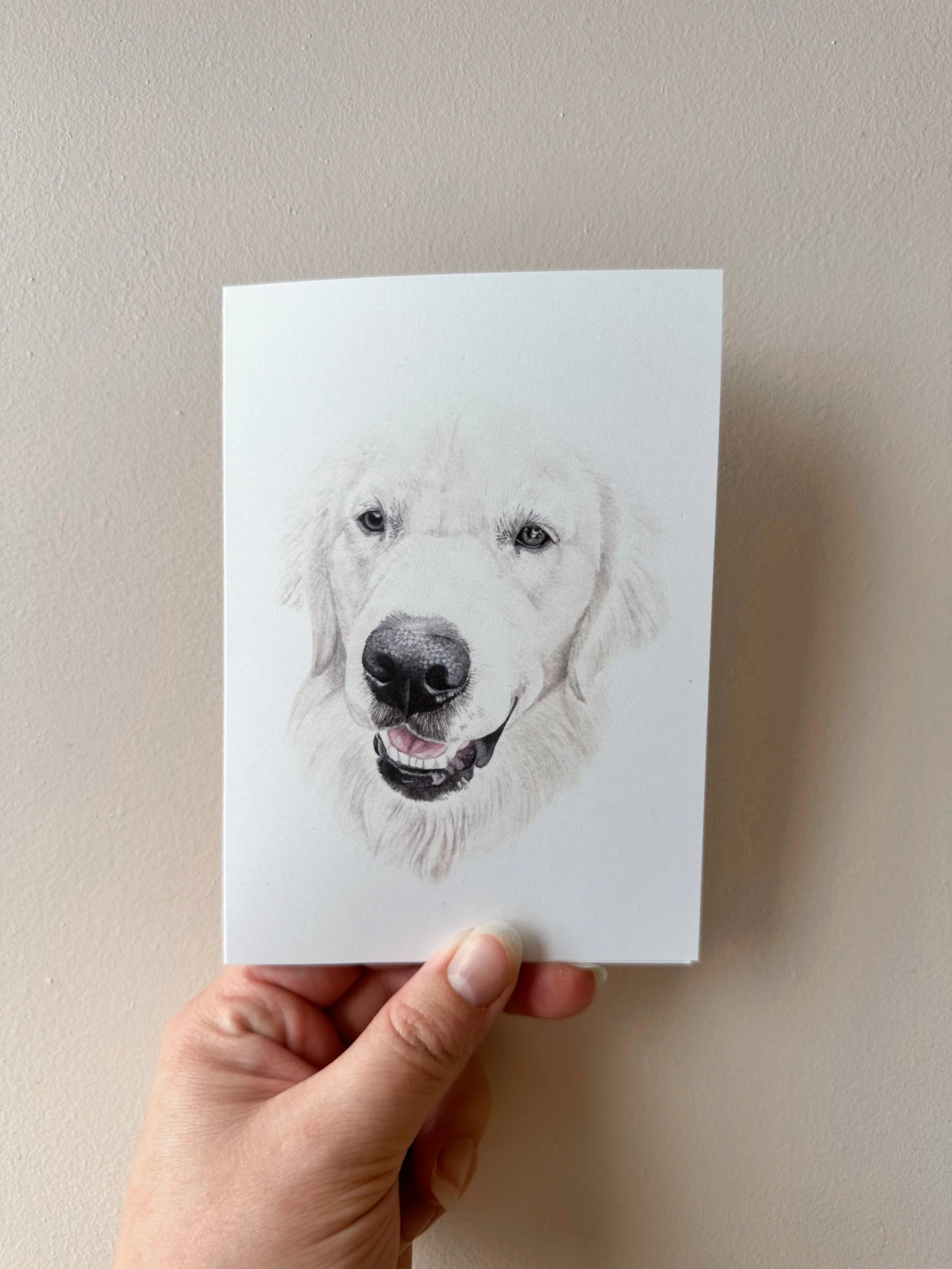 Murphy the Golden Retriever