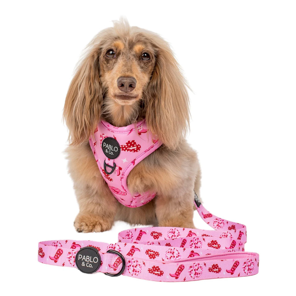 Disco Cowgirl Leash